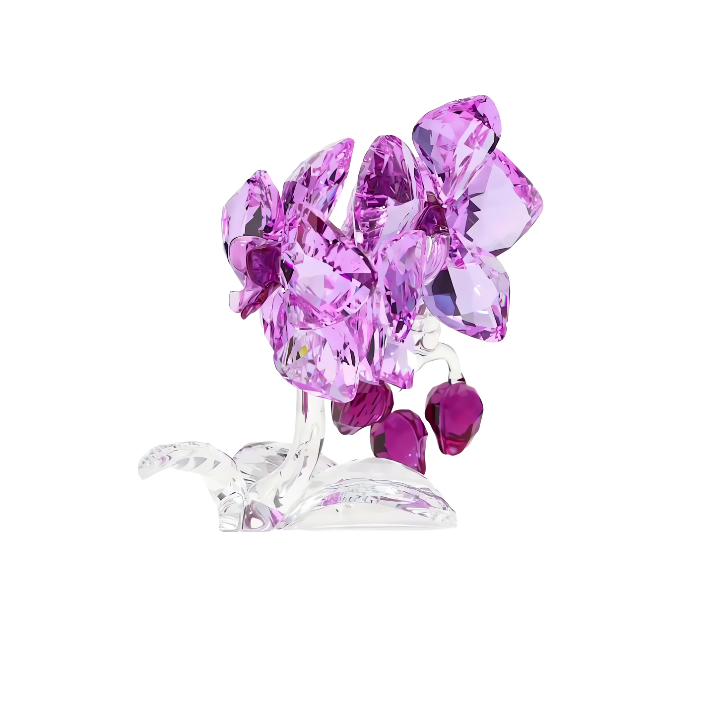 Crystal Flowers Orchid 5520373
