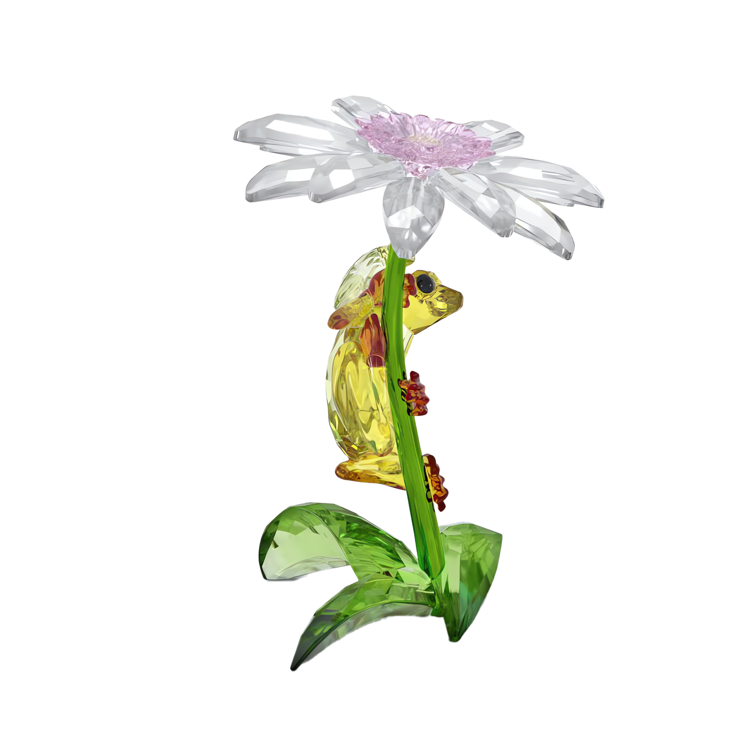 Idyllia Frogs and Flower 5670892