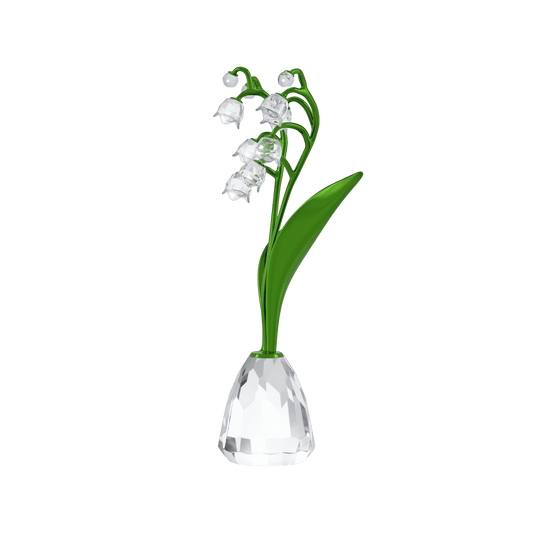 Florere Lily of the Valley 5721541
