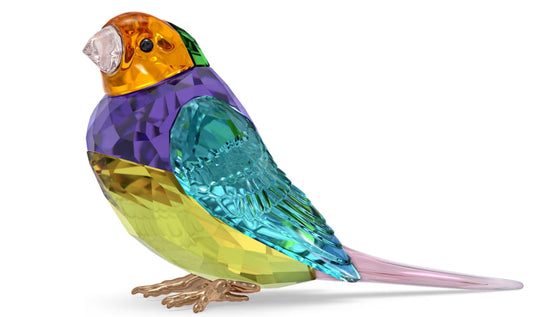 Idyllia SCS Gouldian Finch Small 5689266
