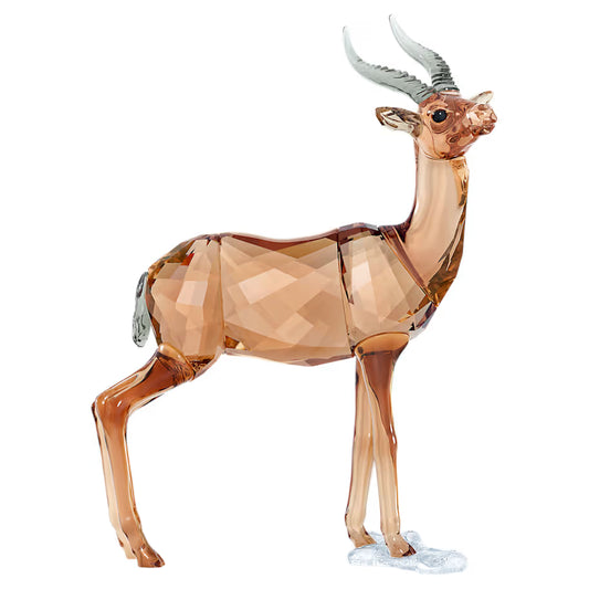 SCS Gazelle