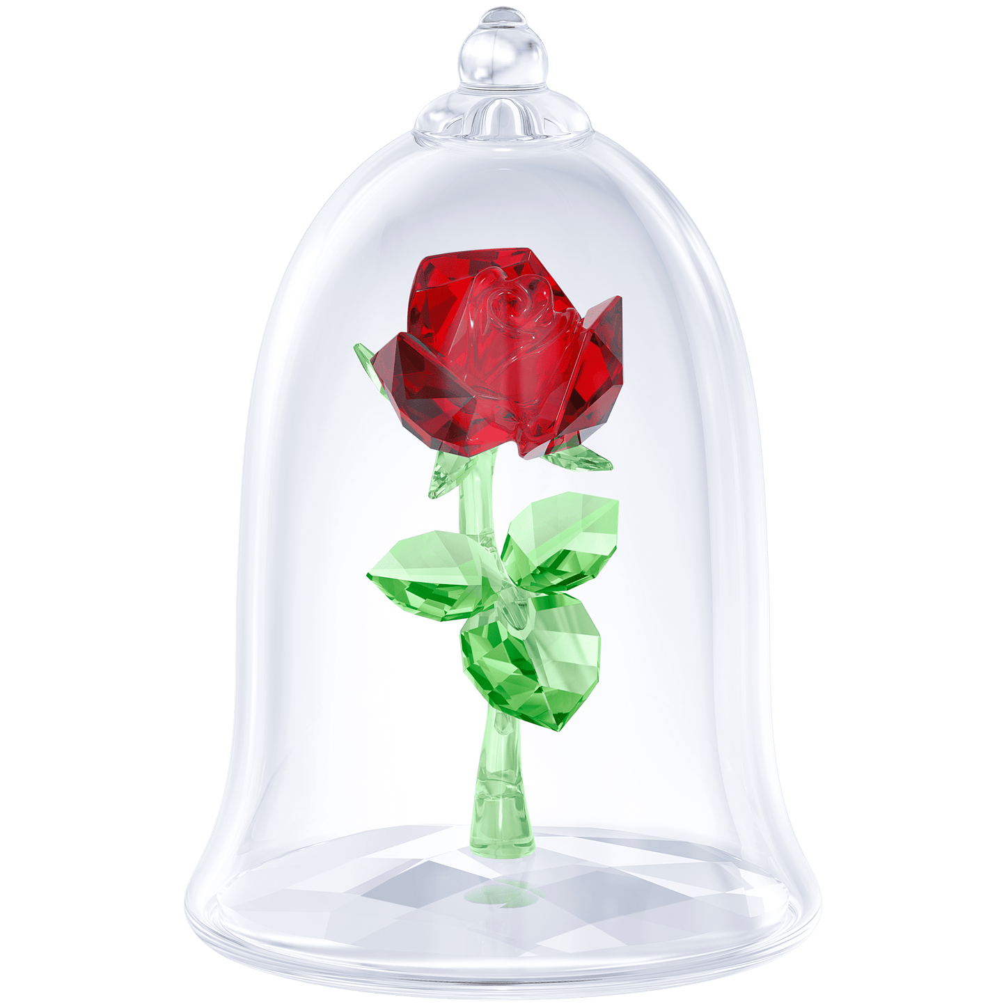 Enchanted Rose 5230478