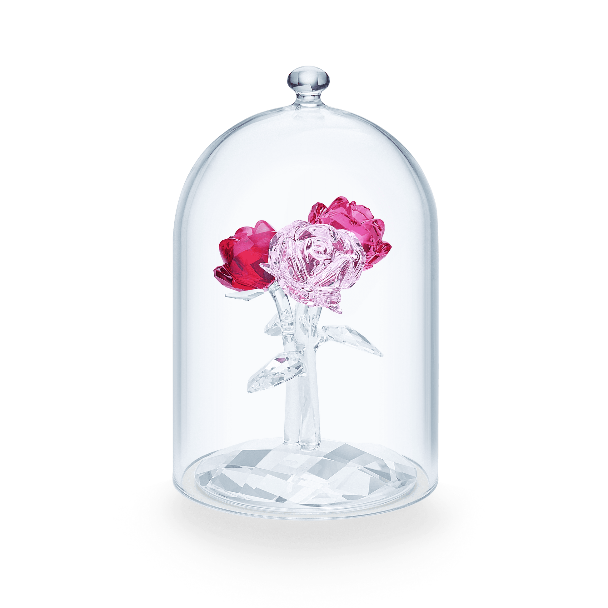 Rose Bouquet 5493707