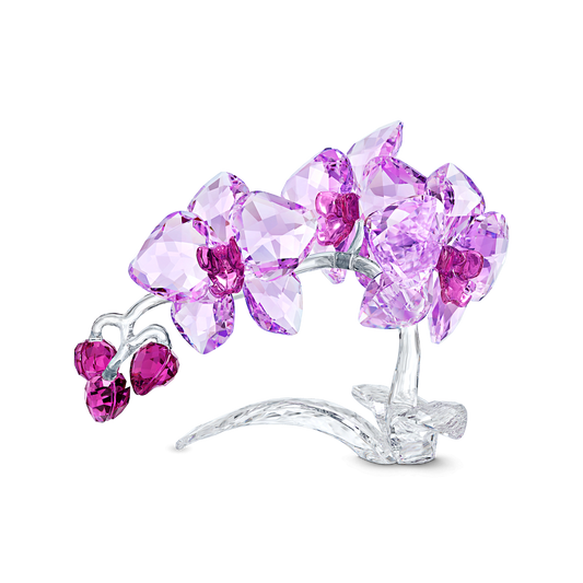 Crystal Flowers Orchid 5520373