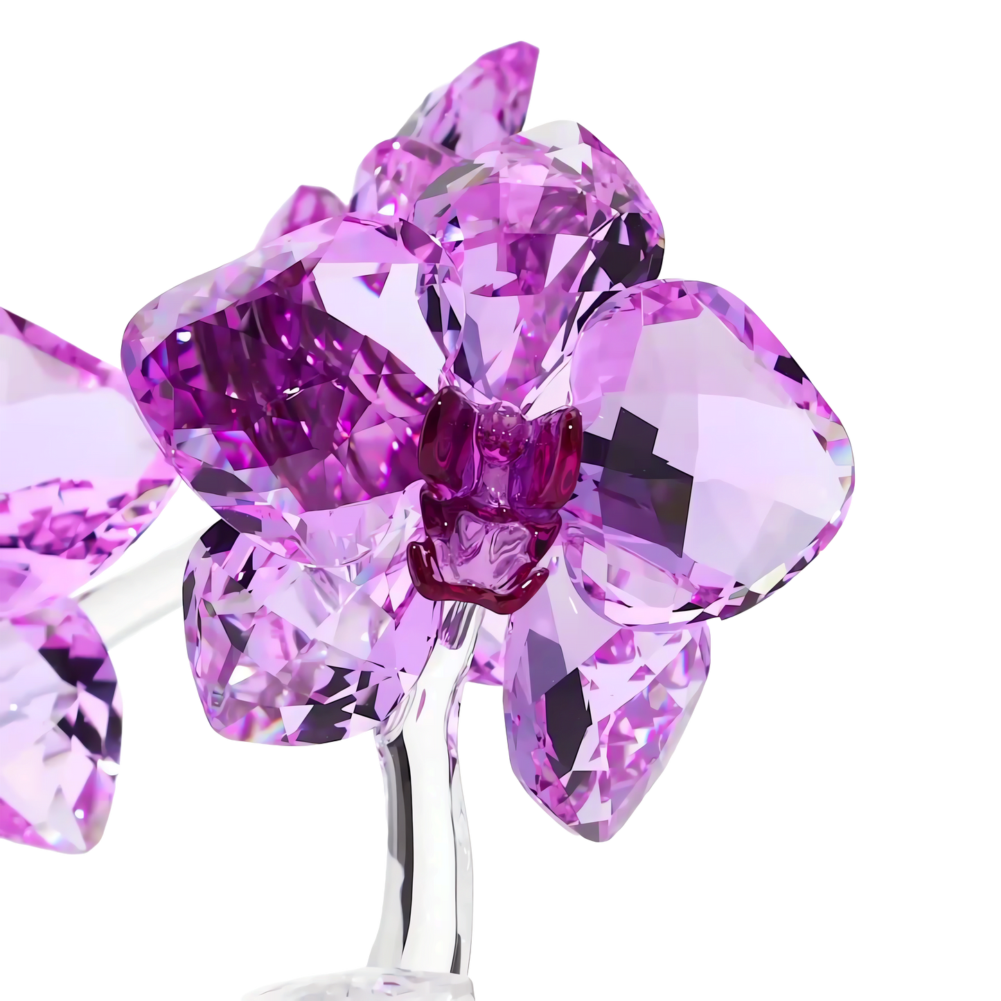 Crystal Flowers Orchid 5520373