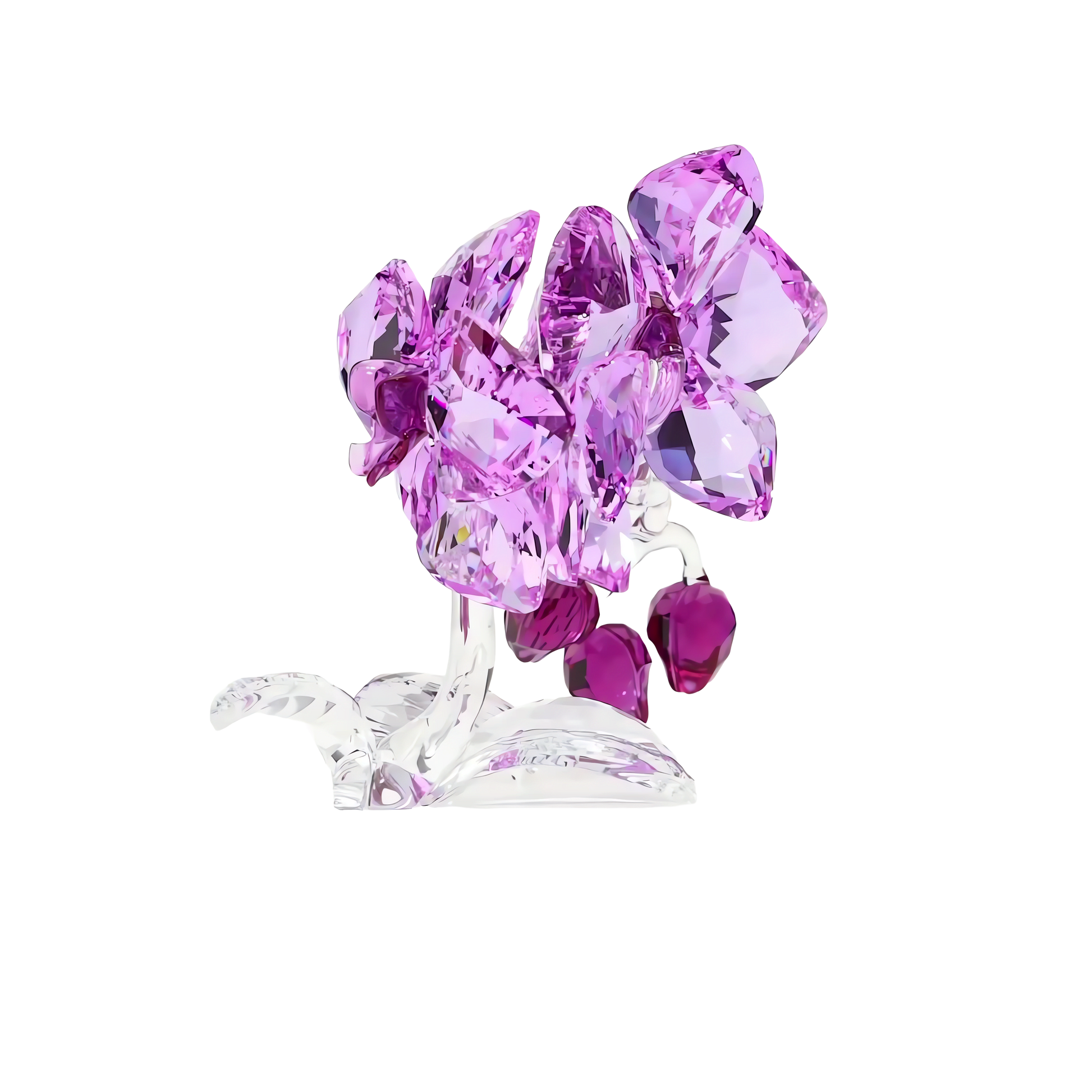 Crystal Flowers Orchid 5520373