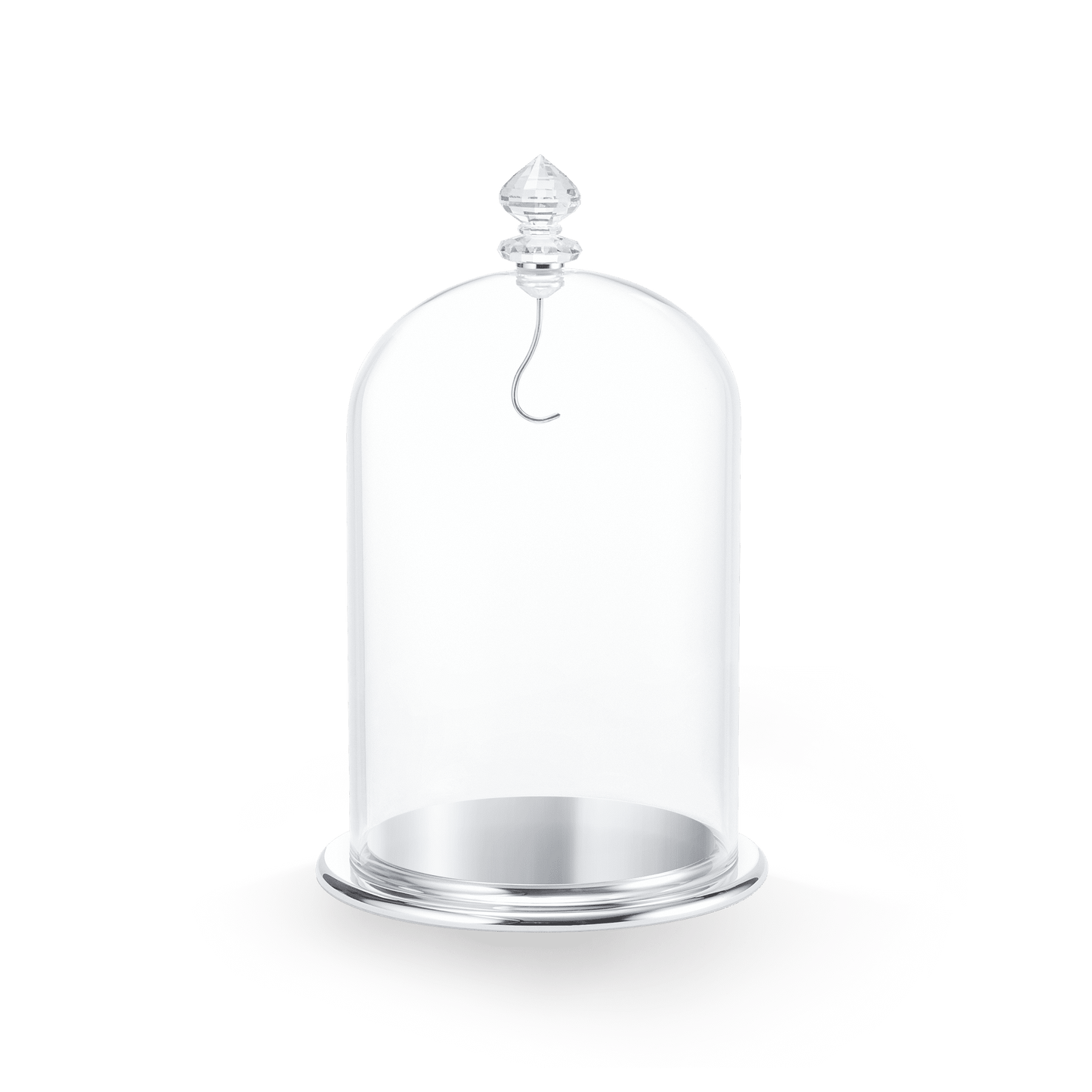 Bell Jar Display, large 5527606