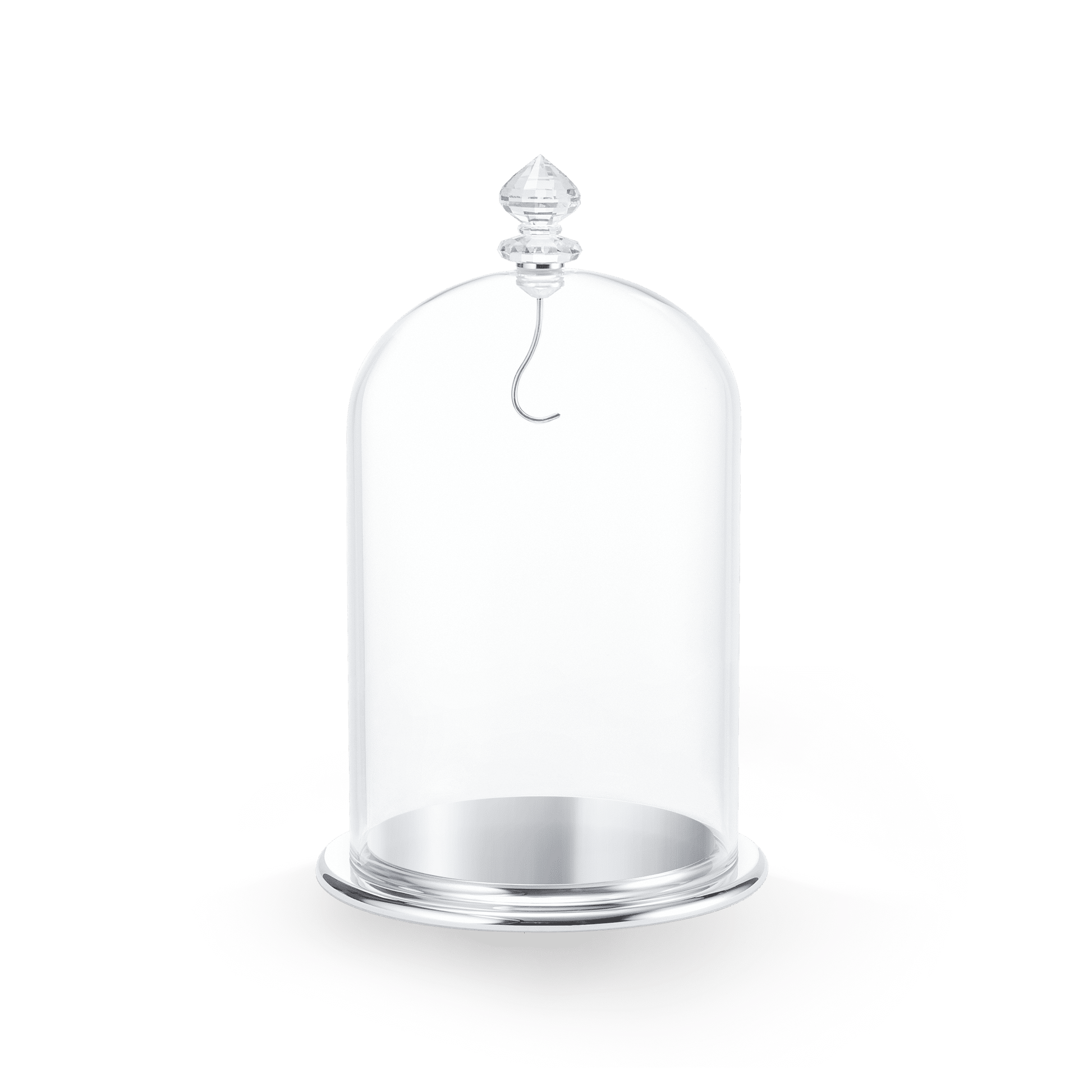 Bell Jar Display, large 5527606
