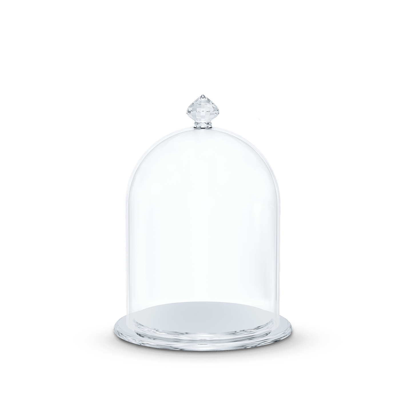 Bell Jar Display, small 5553155