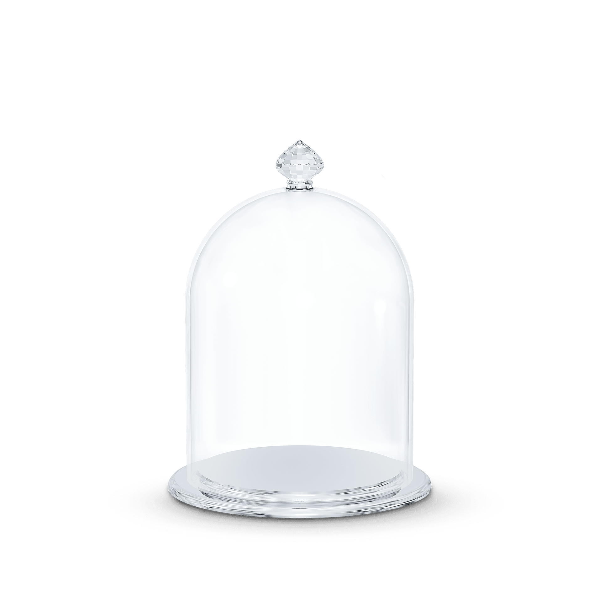 Bell Jar Display, small 5553155
