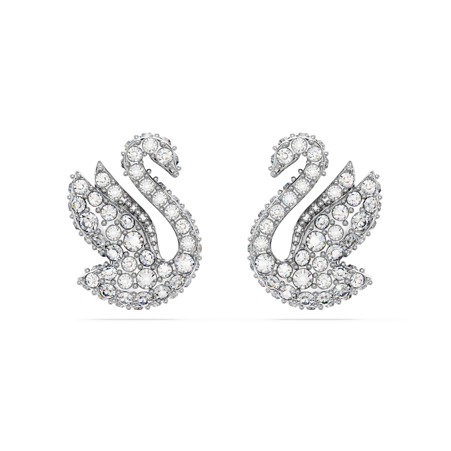 Swan stud earrings, Swan, White, Rhodium plated 5647873