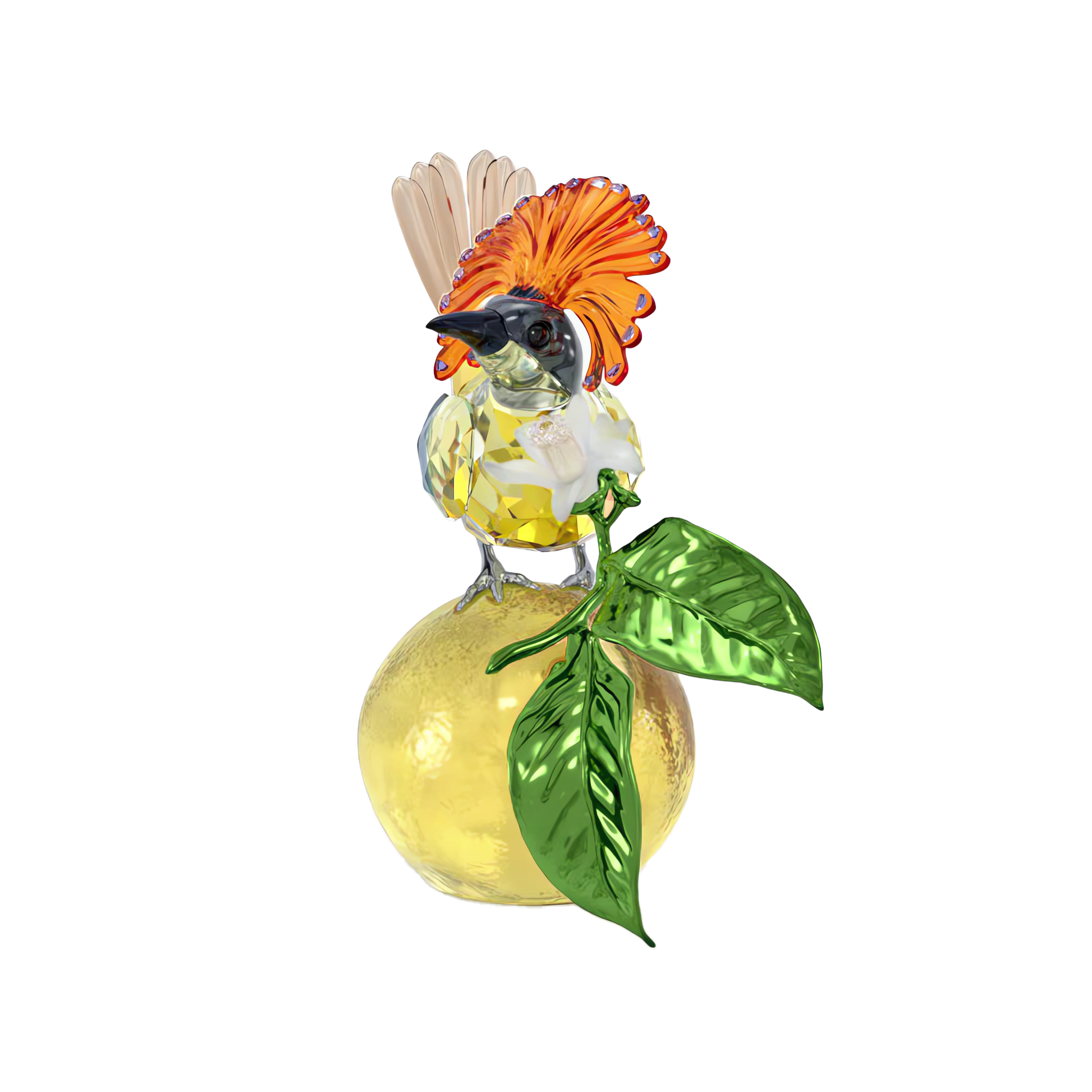 Idyllia Royal Flycatcher 5651811