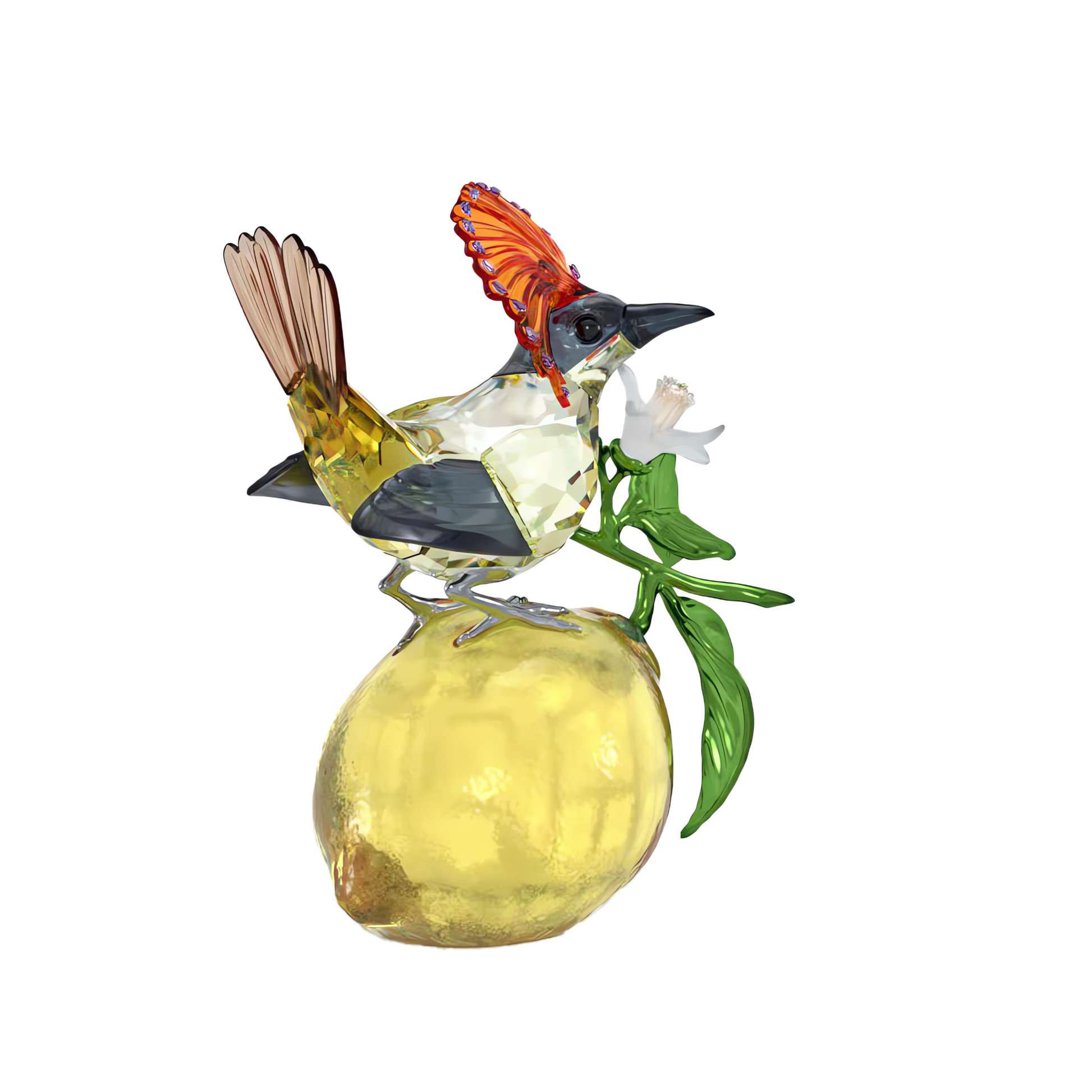 Idyllia Royal Flycatcher 5651811