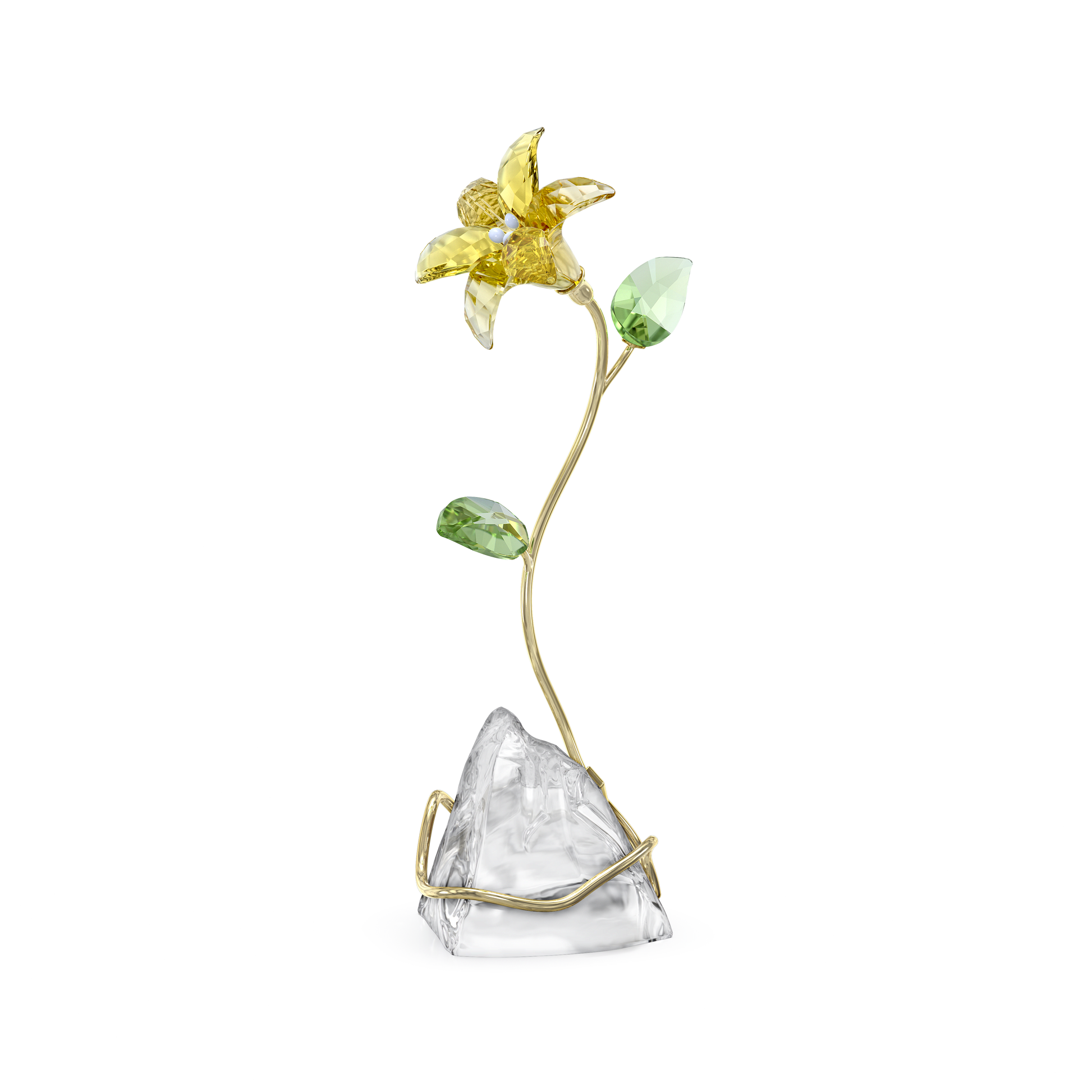 Florere Lily 5666972