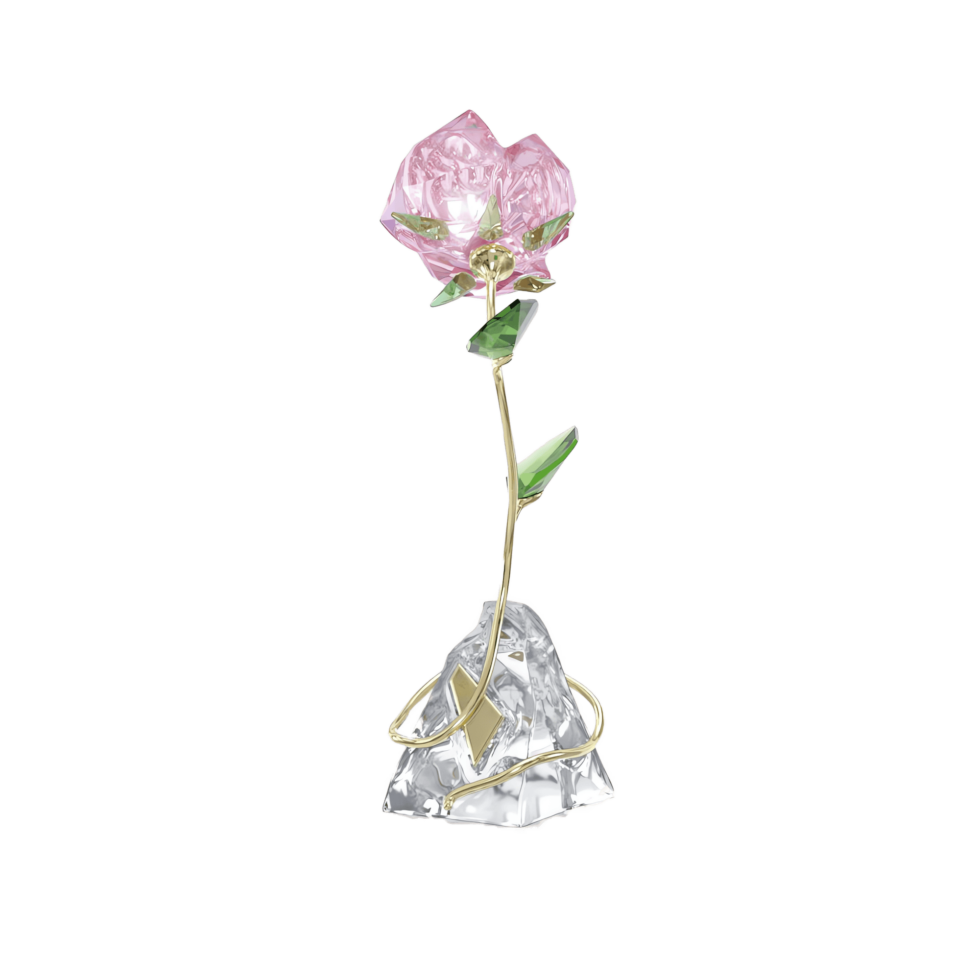 Florere Rose 5666973
