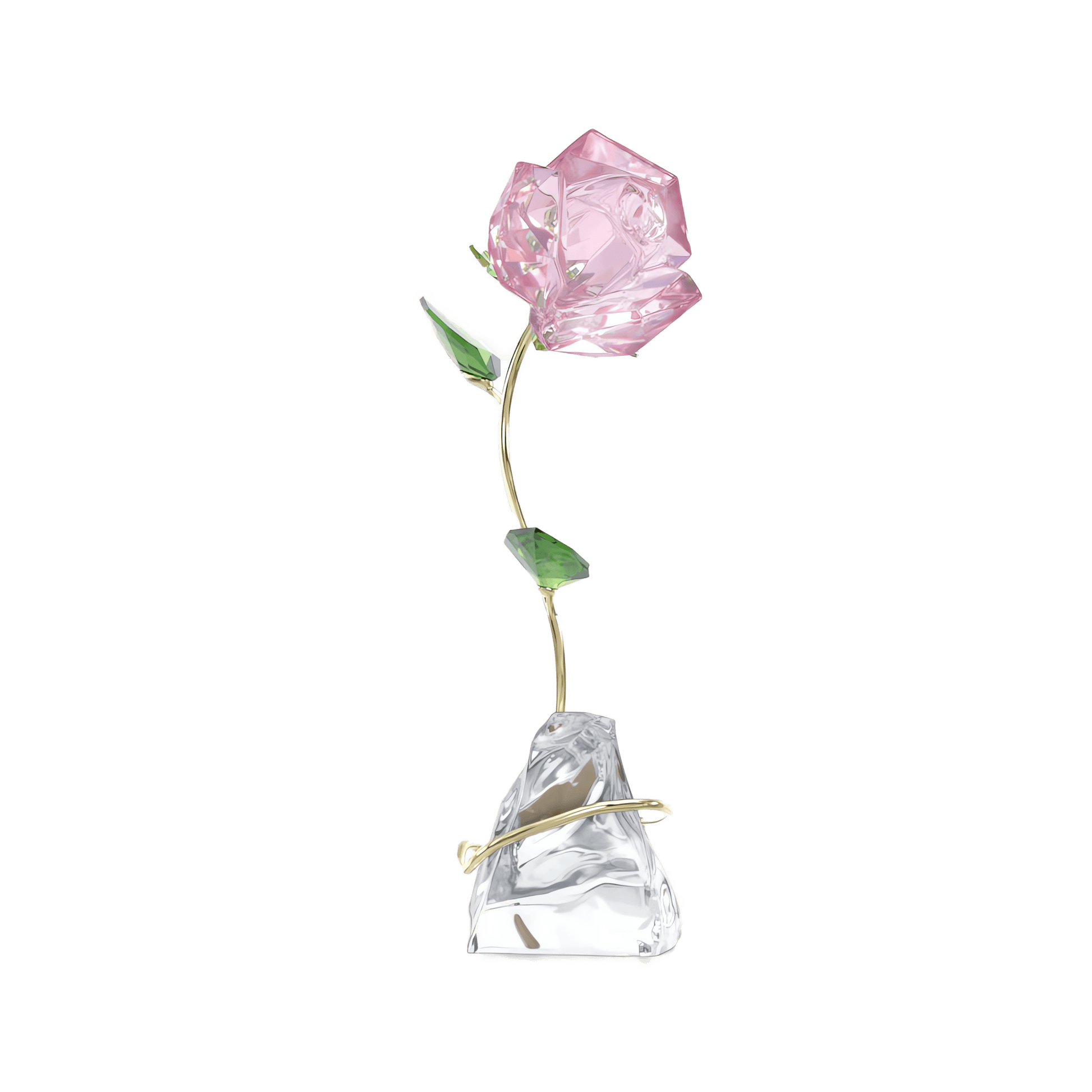 Florere Rose 5666973