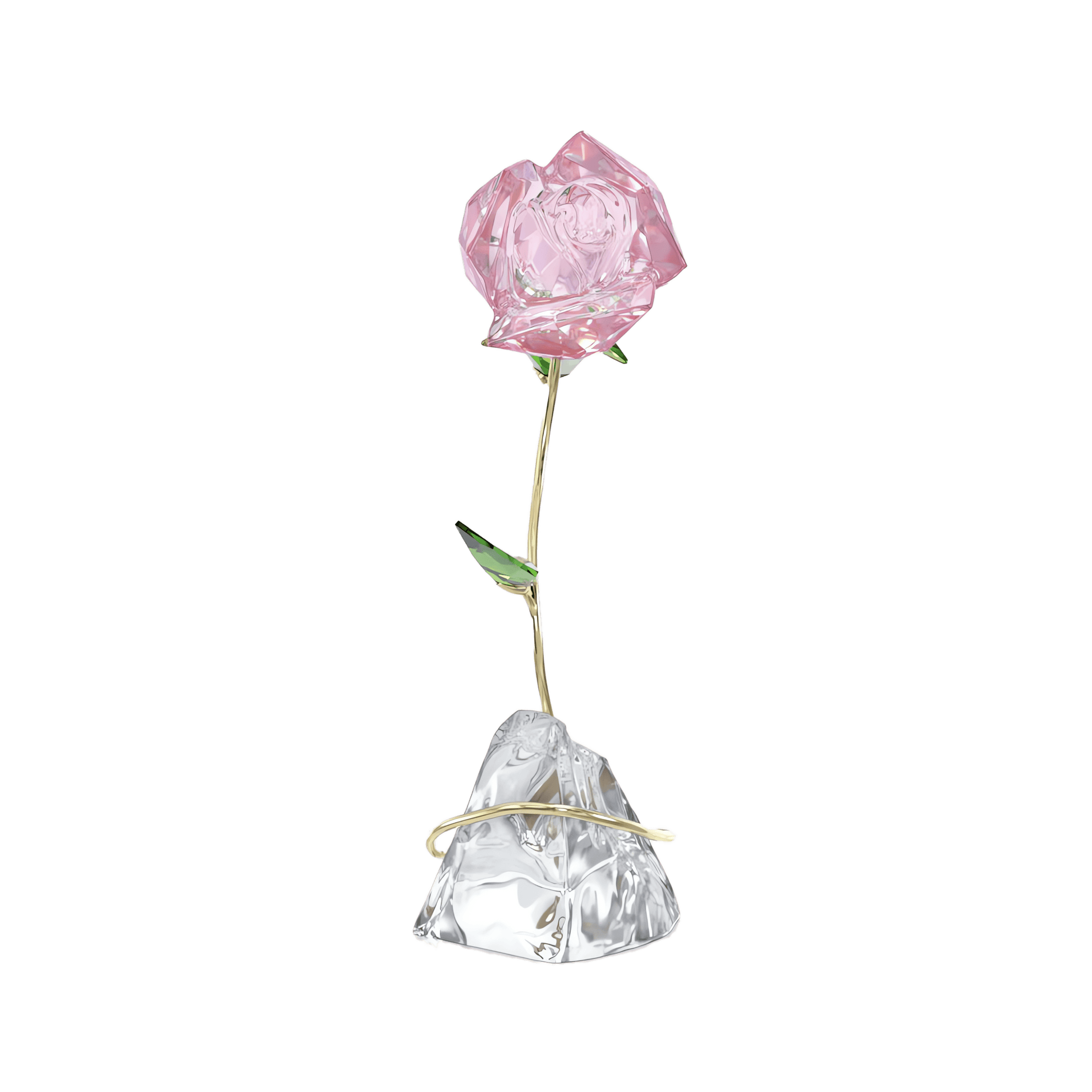 Florere Rose 5666973