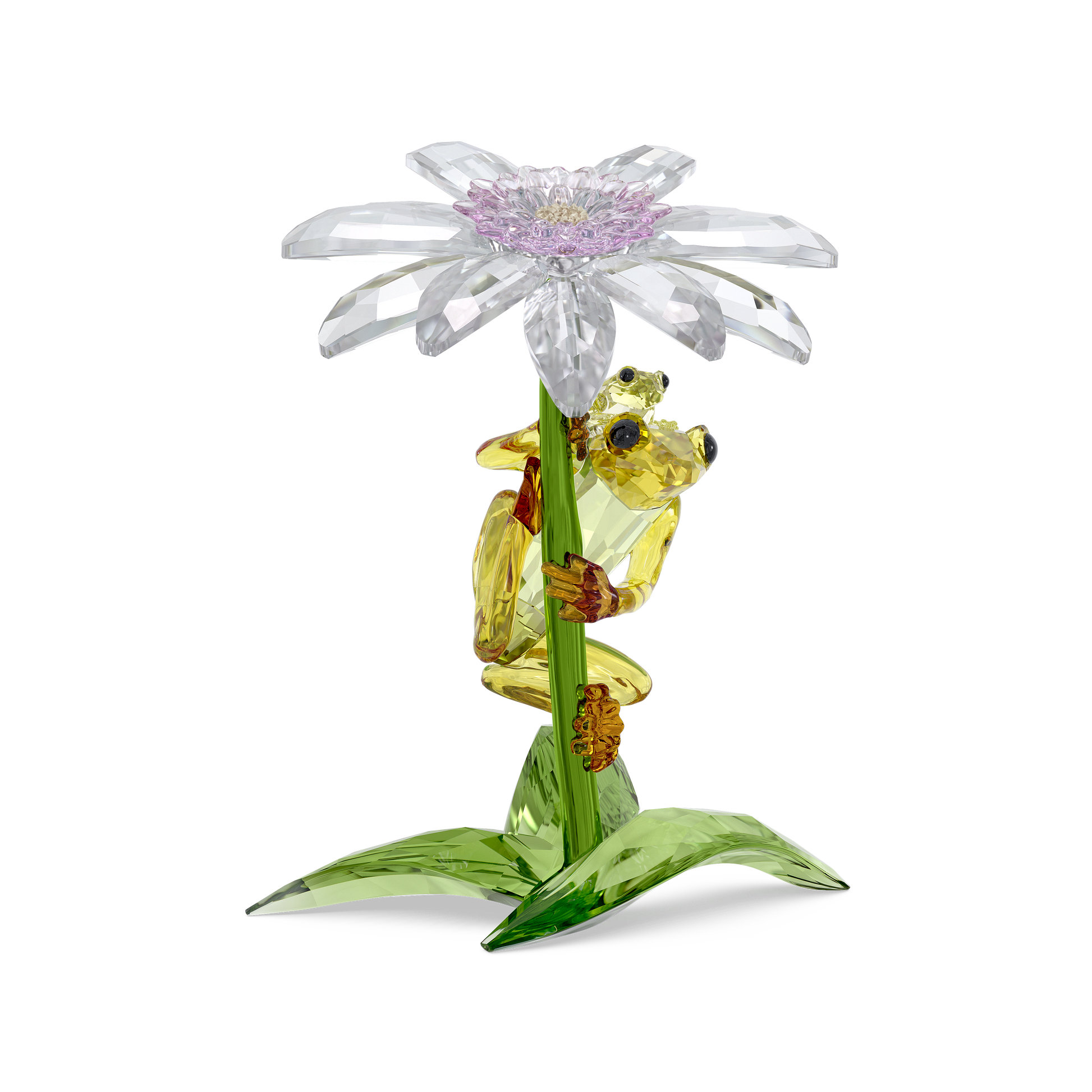 Idyllia Frogs and Flower 5670892
