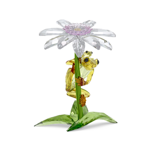 Idyllia Frogs and Flower 5670892