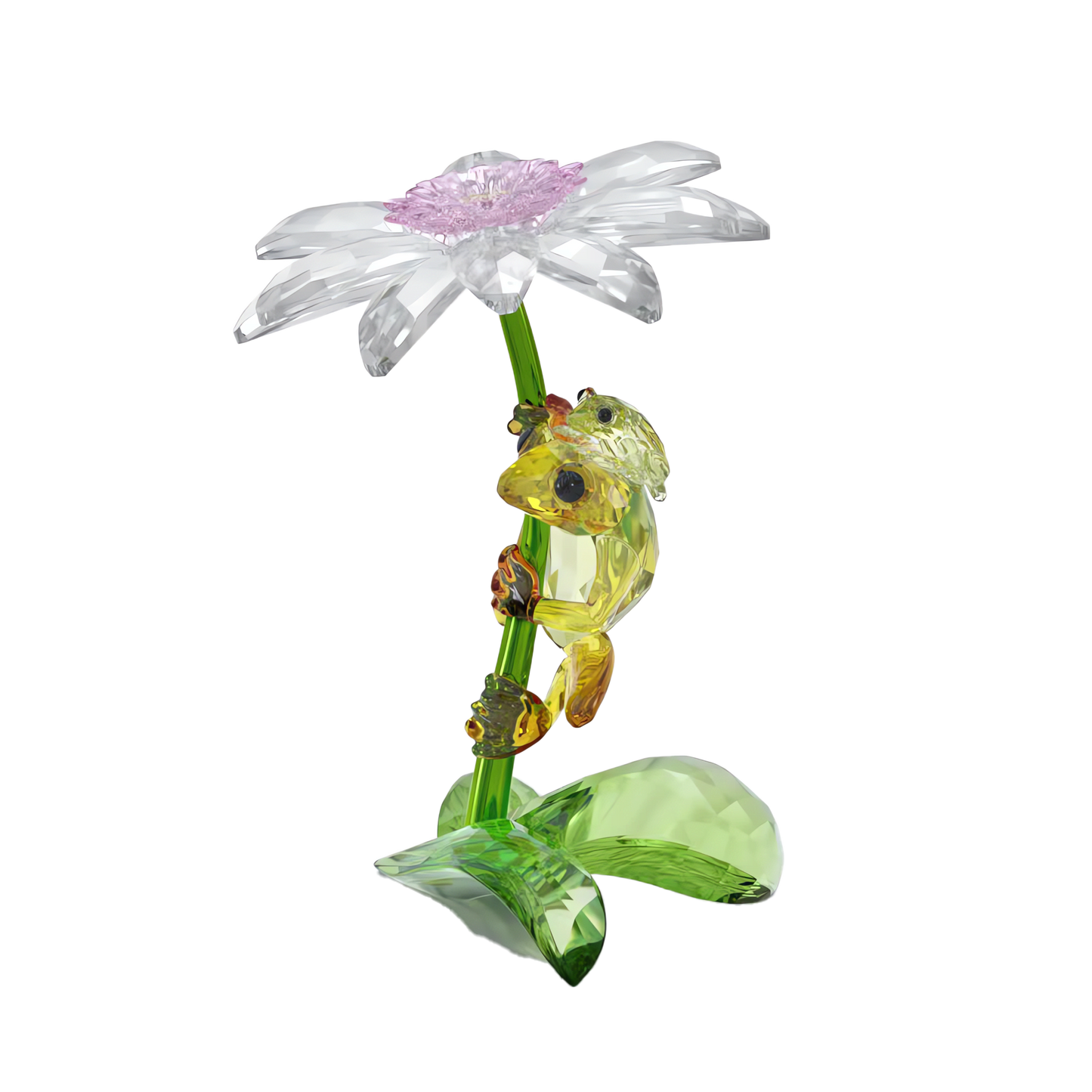 Idyllia Frogs and Flower 5670892