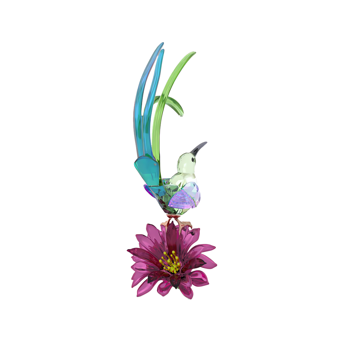 Idyllia Sugarbird and Cactus Flower