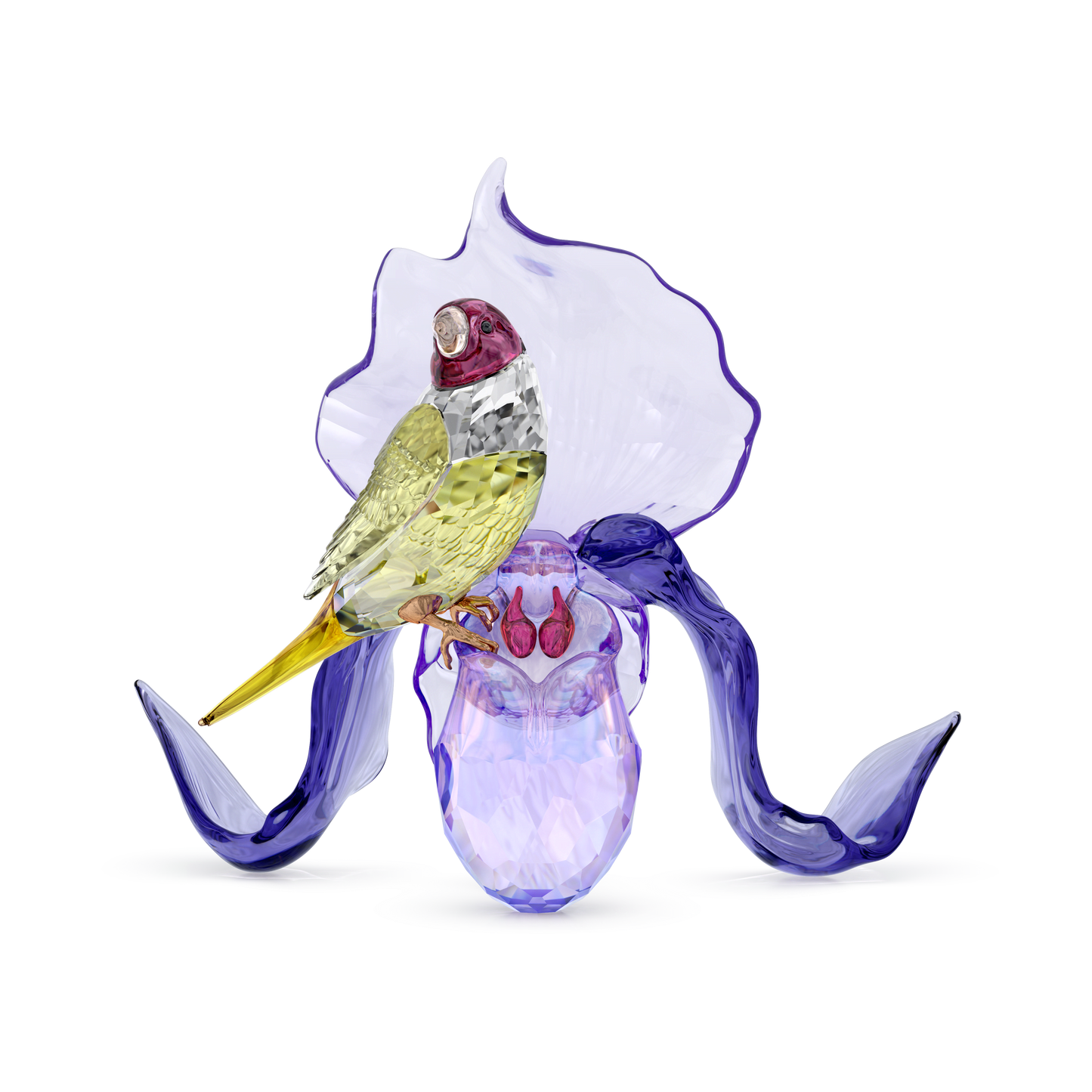 Idyllia Gouldian Finch and Orchid 5675211
