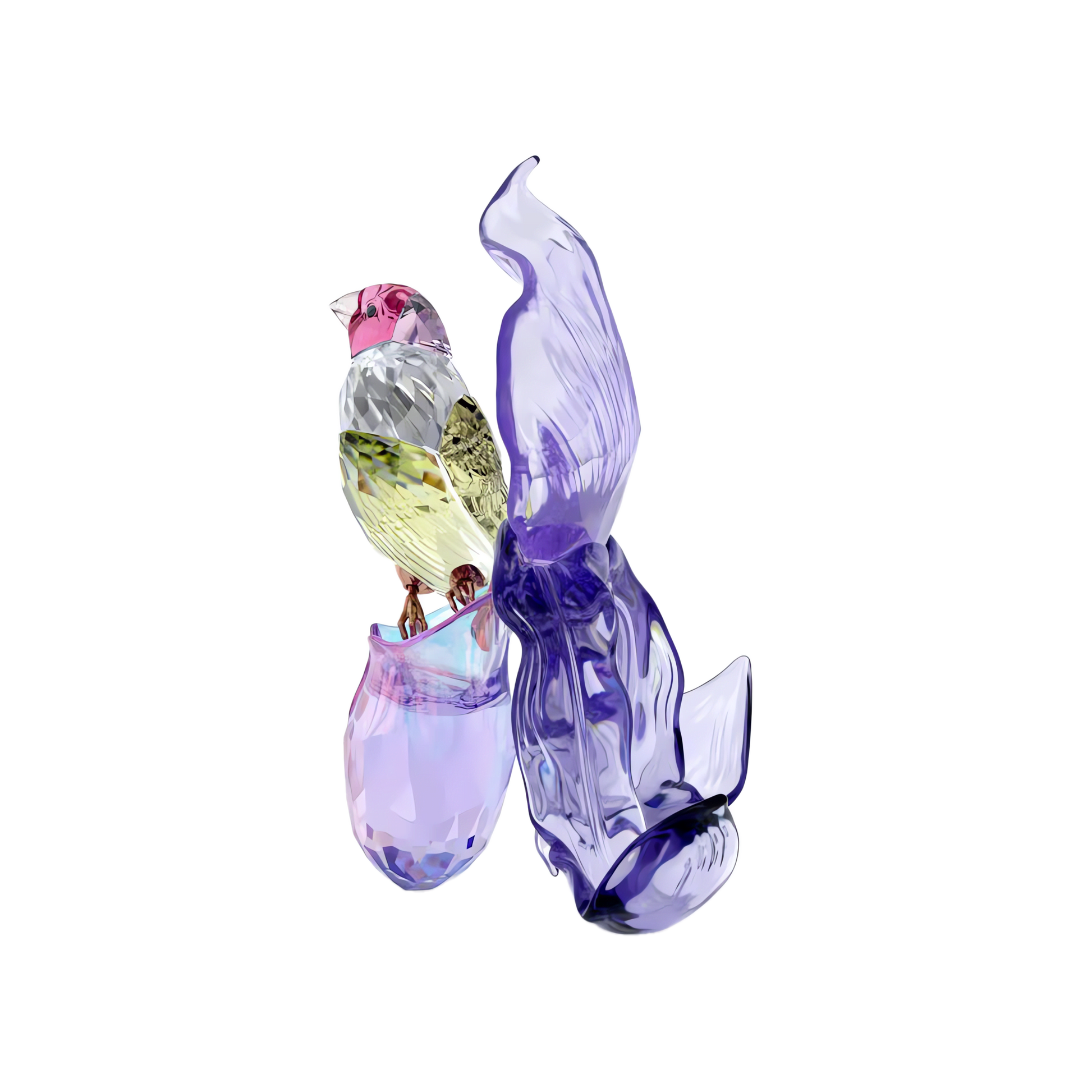 Idyllia Gouldian Finch and Orchid 5675211