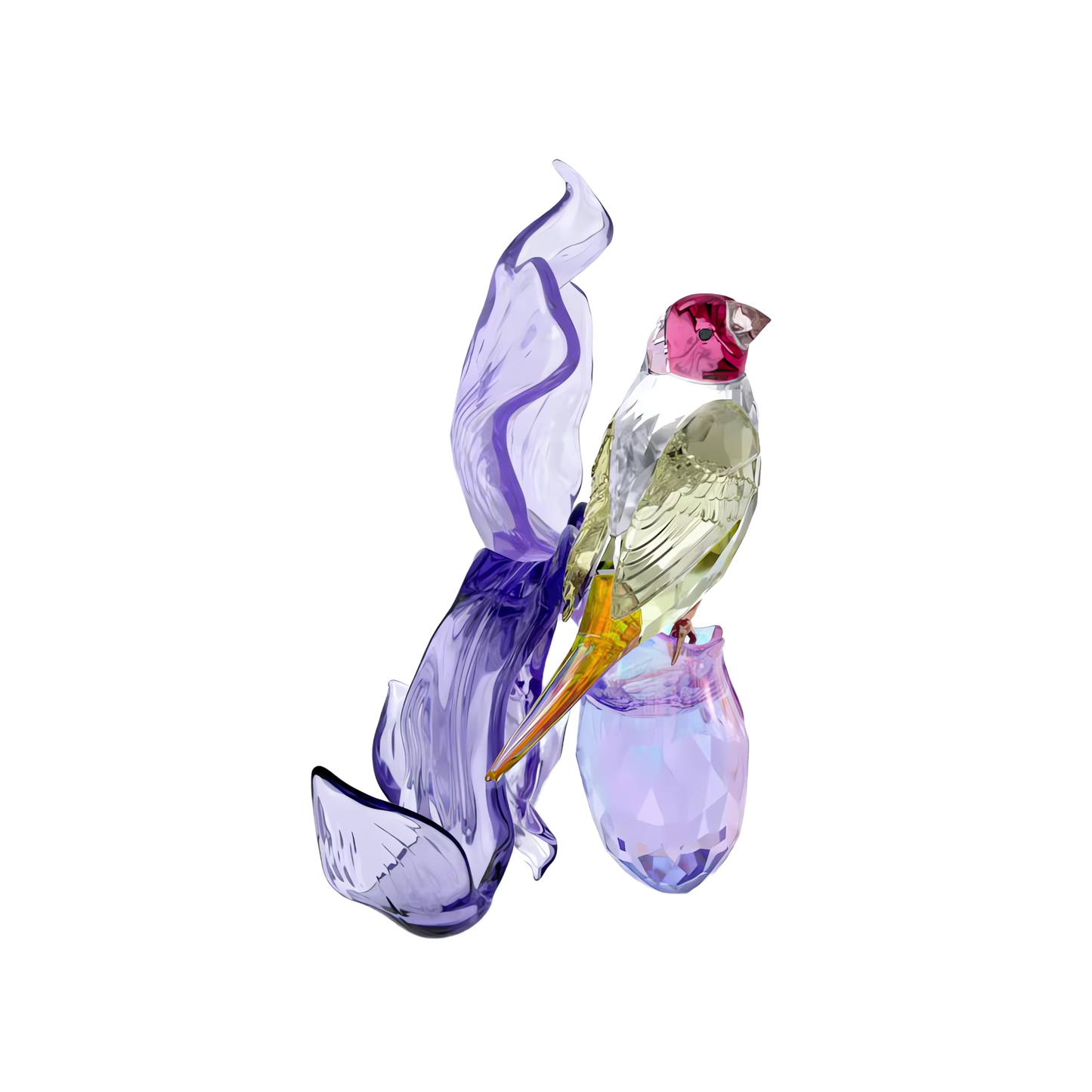 Idyllia Gouldian Finch and Orchid 5675211