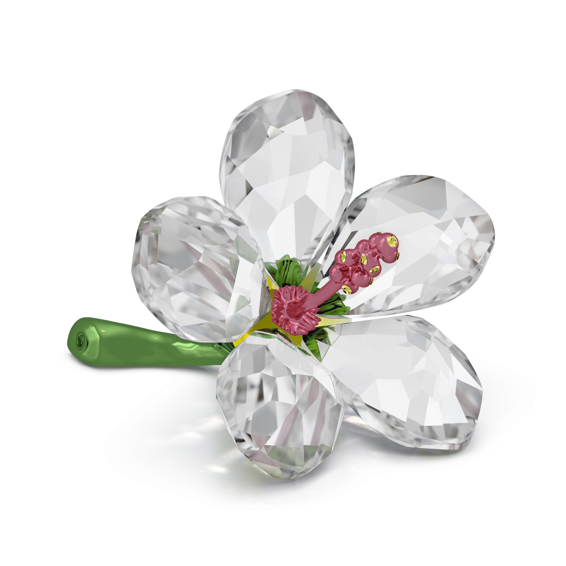 Florere Hibiscus, Small 5690534