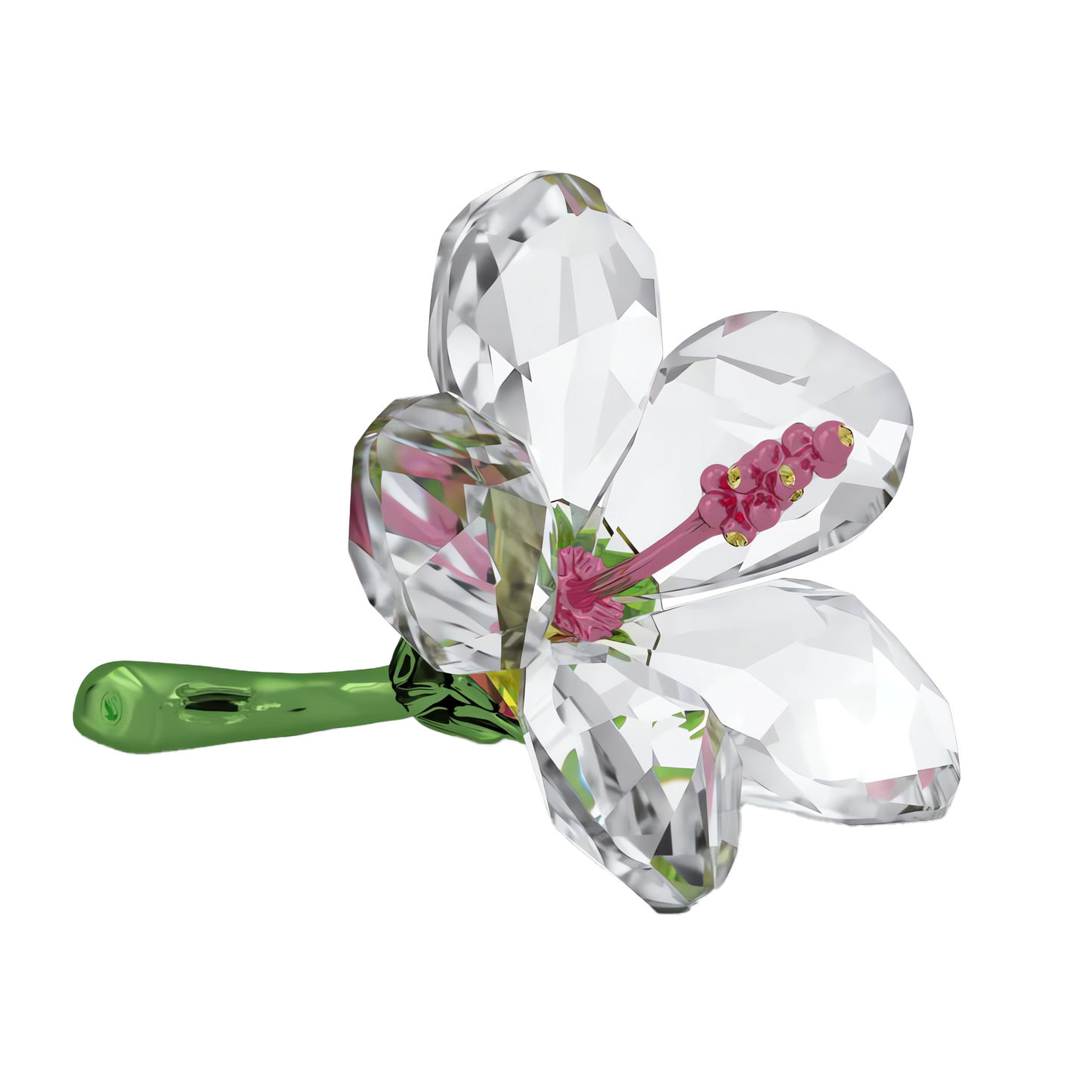 Florere Hibiscus, Small 5690534