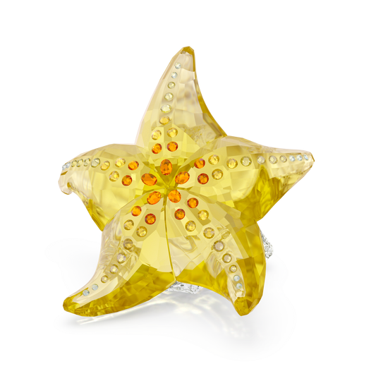Idyllia SCS Starfish 5690901