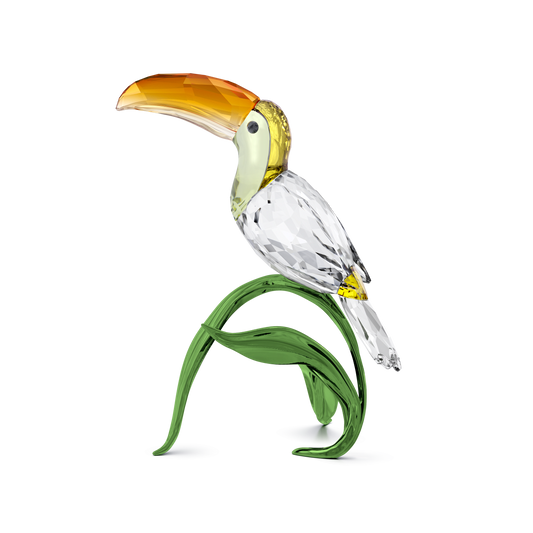 Idyllia Toucan 5693142