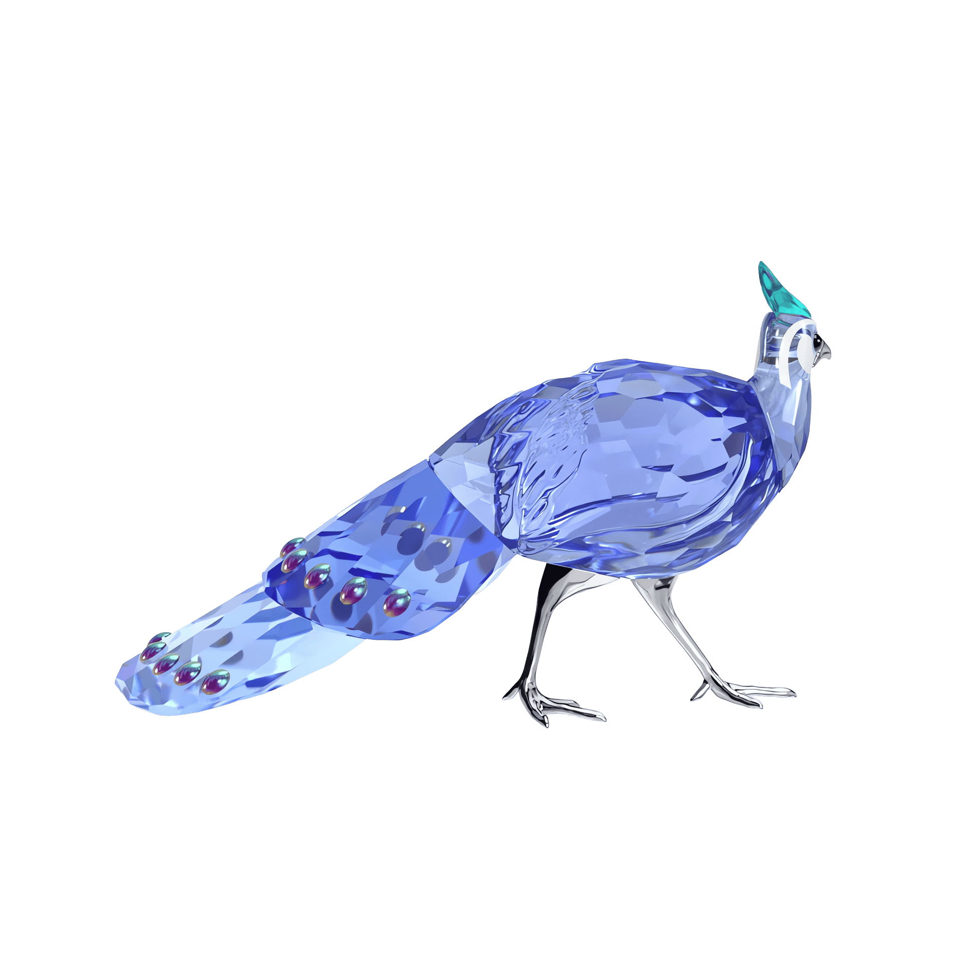 Idyllia SCS Palawan Peacock-Pheasant 5717851
