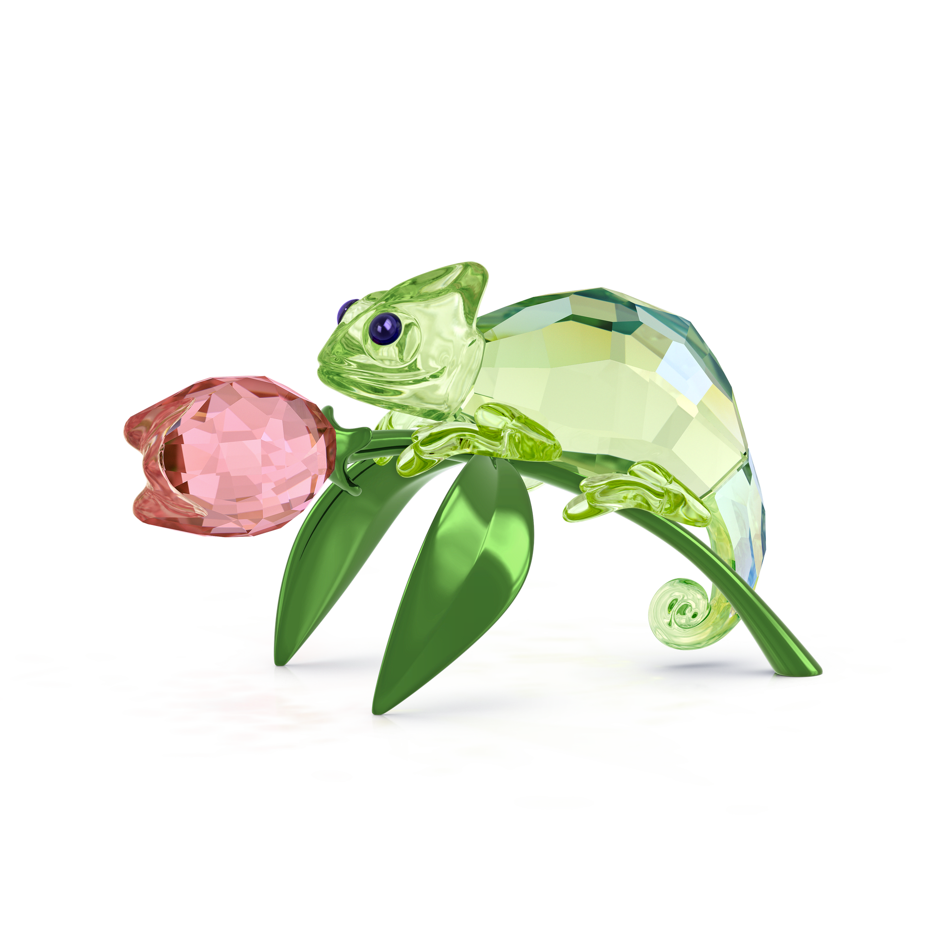 Idyllia Chameleon and Tulip 5719811