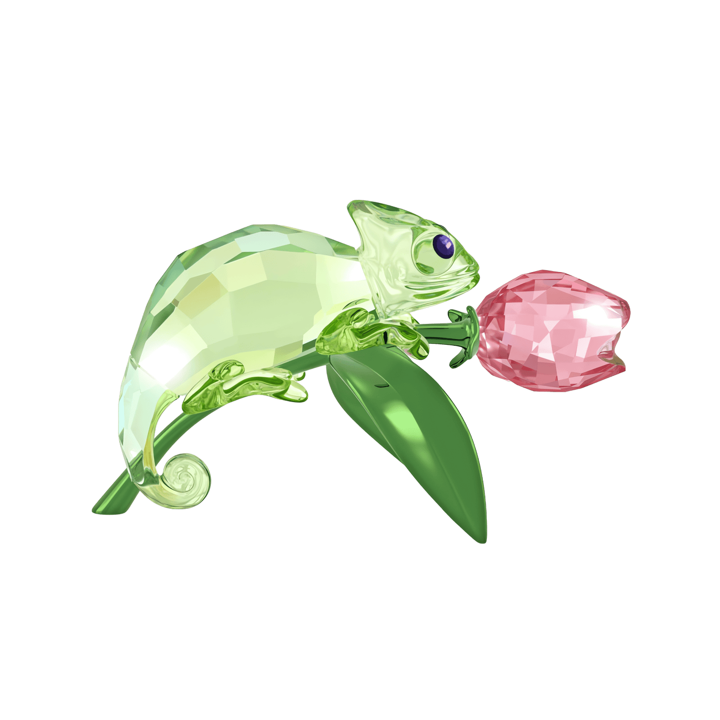 Idyllia Chameleon and Tulip 5719811