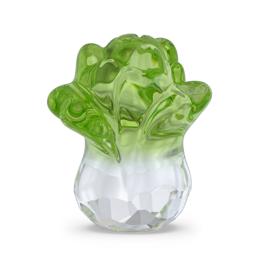 Asian Symbols Fortune Cabbage 5720453