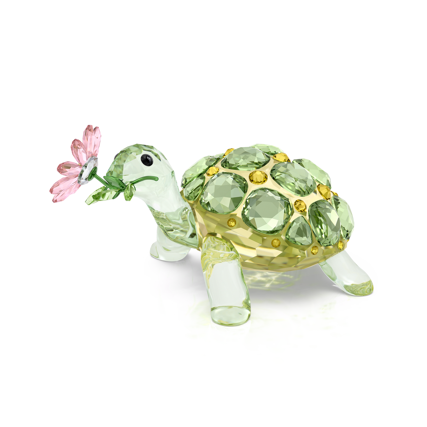 Idyllia Tortoise and Daisy 5721542