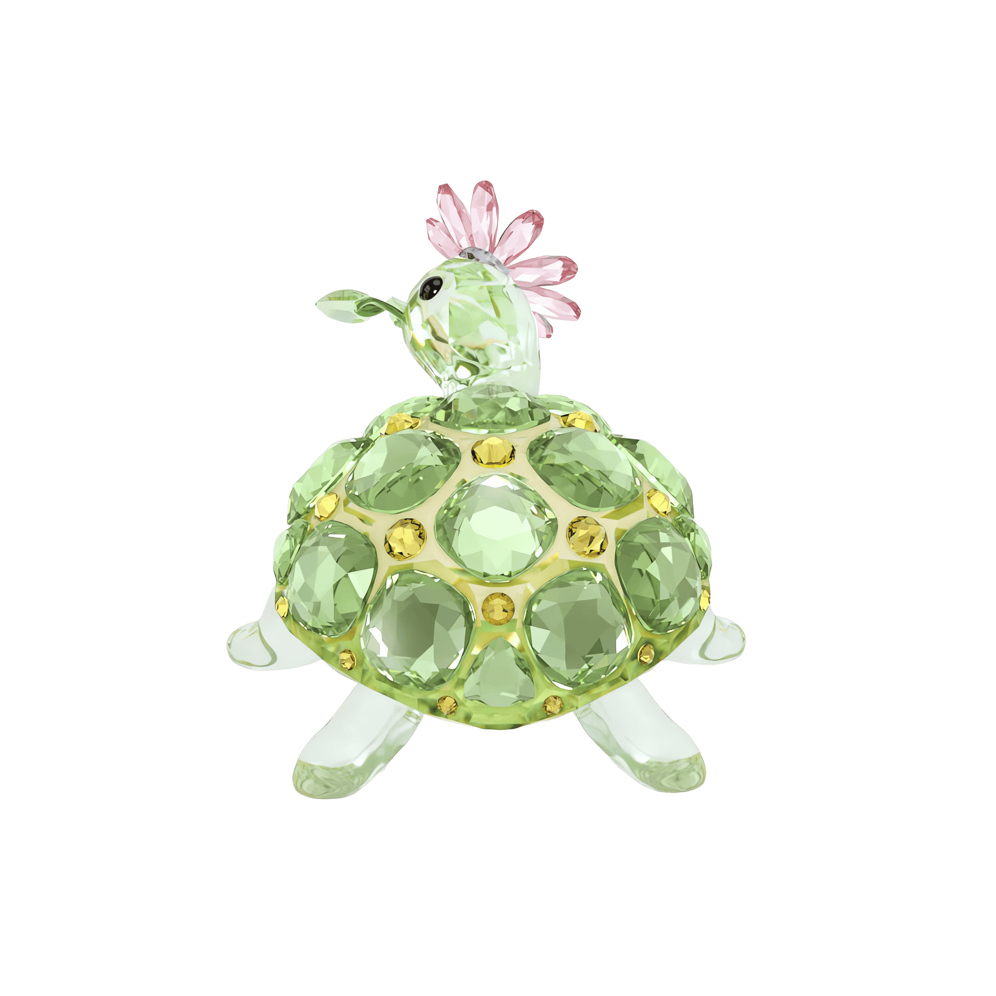 Idyllia Tortoise and Daisy 5721542