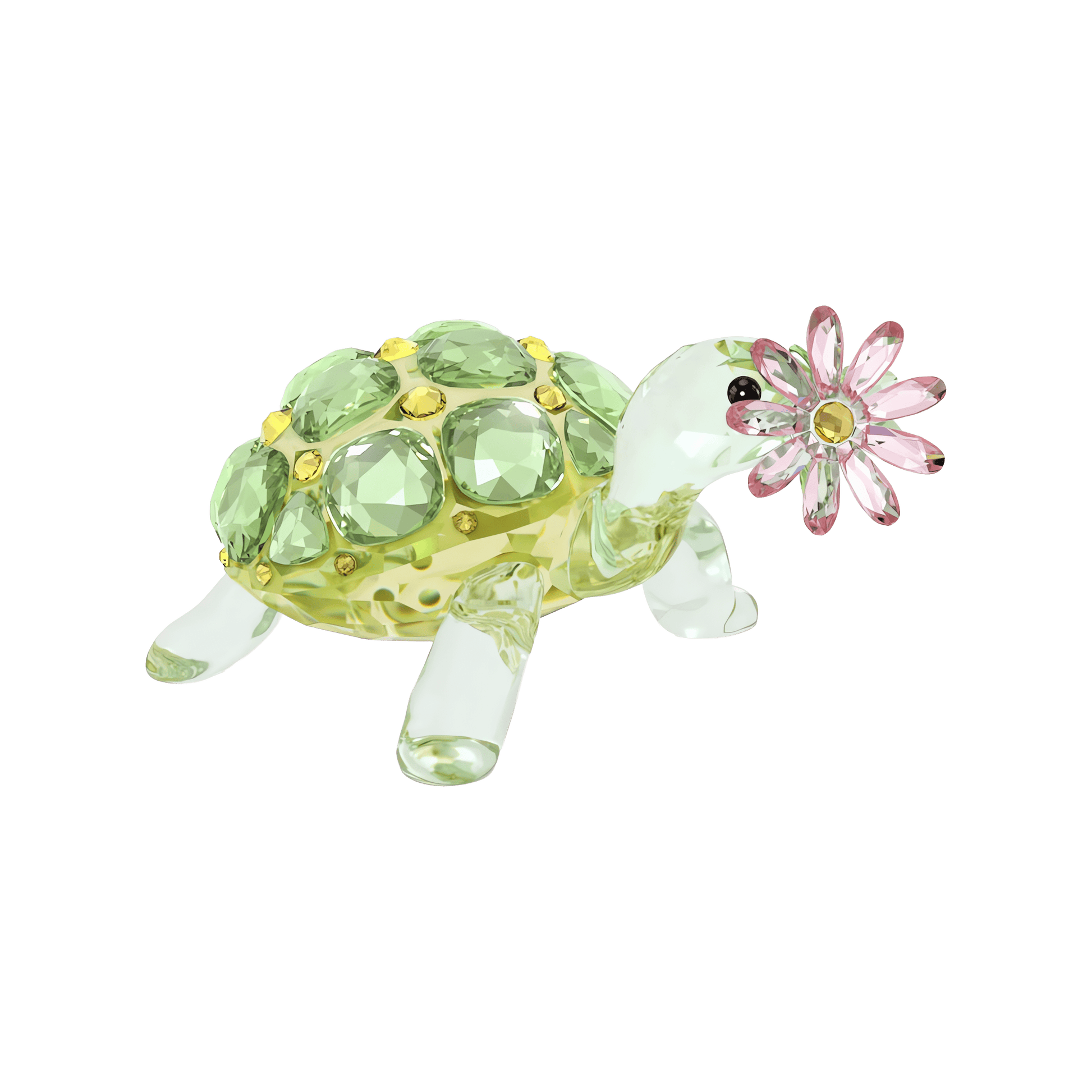 Idyllia Tortoise and Daisy 5721542