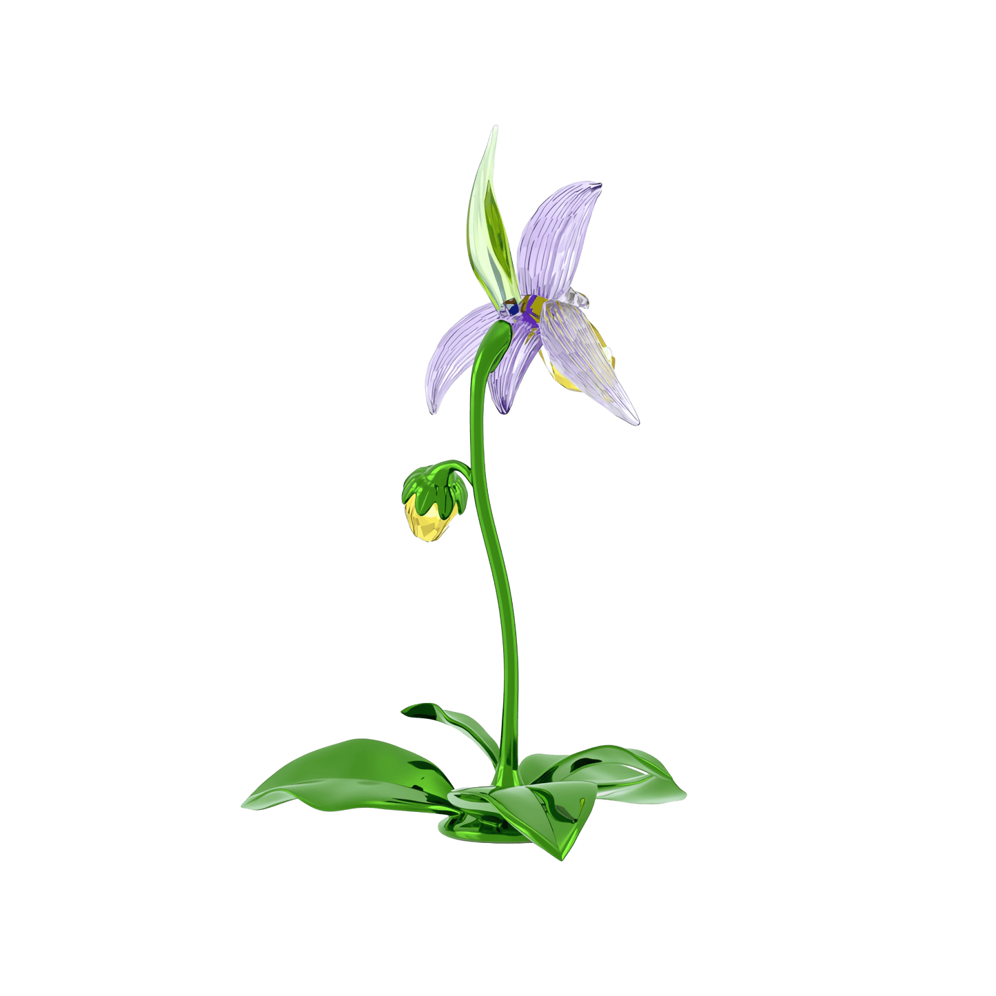 Florere Lady Slipper Orchid 5721548