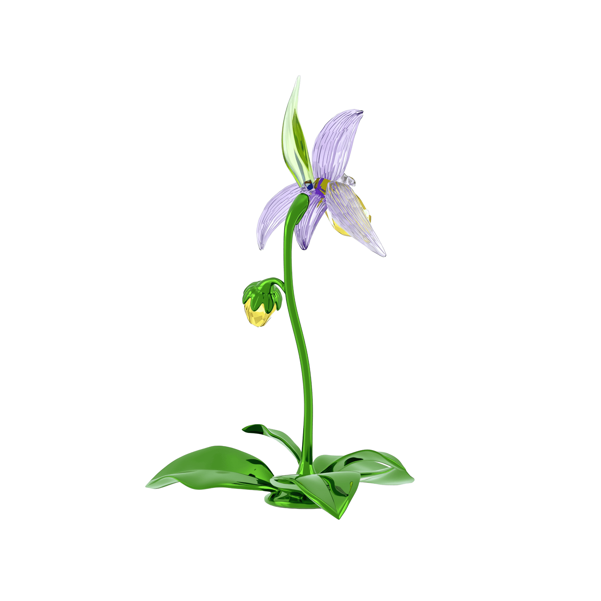 Florere Lady Slipper Orchid 5721548