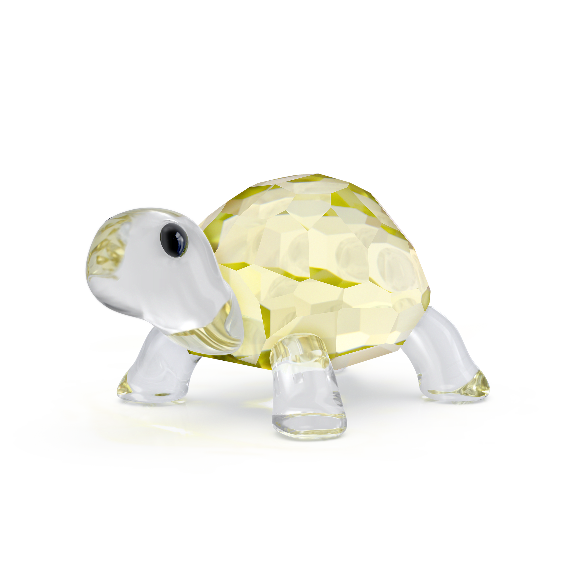 Idyllia Baby Tortoise 5721550